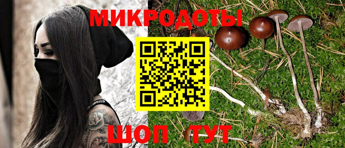 Псилоцибиновые грибы Psilocybine cubensis  Вход с VPN  Лангепас  Псилоцибиновые грибы Magic Shrooms 